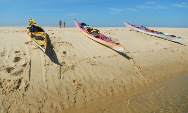 Stage Kmer Environnement les 28 et 29 Mars 2026